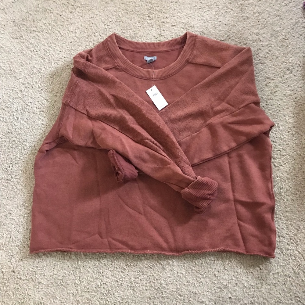 Aerie crop rust sweatshirt BNWT